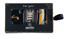 Набор мужских носков в подарочной коробке Apollo, 3 шт. цена и информация | Мужские носки | 220.lv