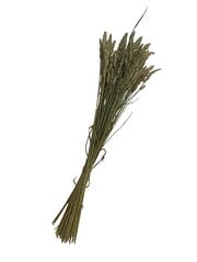 Сухие травы, Ежа сборная, 100 шт. цена и информация | Принадлежности для флористики | 220.lv