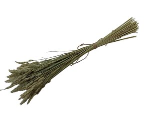Сухие травы, Ежа сборная, 100 шт. цена и информация | Принадлежности для флористики | 220.lv