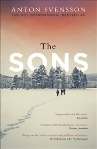 Sons: The completely thrilling follow-up to crime bestseller The Father cena un informācija | Fantāzija, fantastikas grāmatas | 220.lv