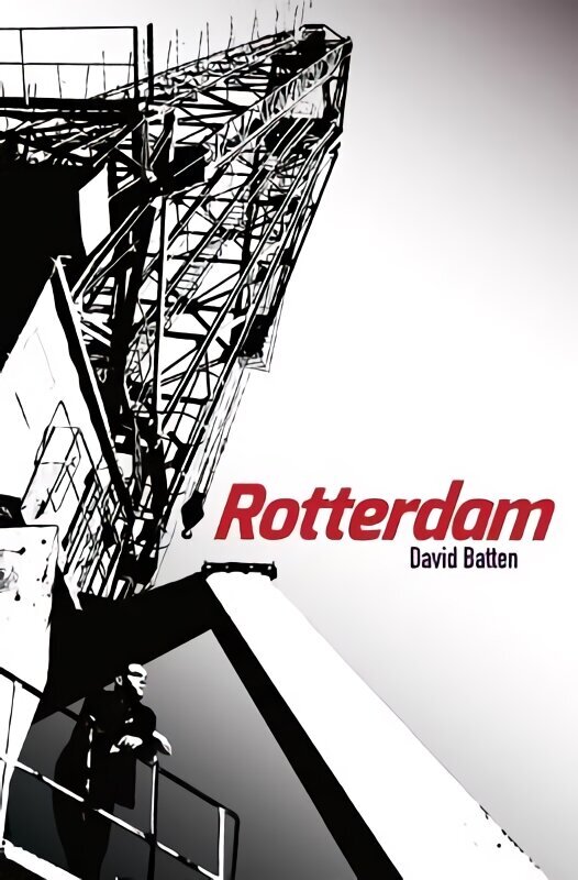 Rotterdam cena un informācija | Fantāzija, fantastikas grāmatas | 220.lv