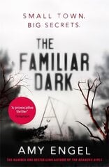Familiar Dark: The must-read, utterly gripping thriller you won't be able to put down cena un informācija | Fantāzija, fantastikas grāmatas | 220.lv