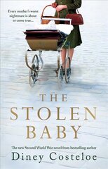 Stolen Baby цена и информация | Фантастика, фэнтези | 220.lv