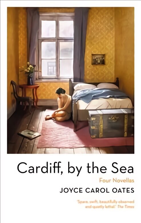Cardiff, by the Sea цена и информация | Fantāzija, fantastikas grāmatas | 220.lv