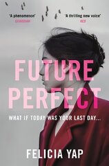 Future Perfect: The Most Exciting High-Concept Novel of the Year cena un informācija | Fantāzija, fantastikas grāmatas | 220.lv