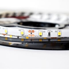 Milagro LED lente Pro 60, 24W, 6000K, 5 m cena un informācija | LED lentes | 220.lv