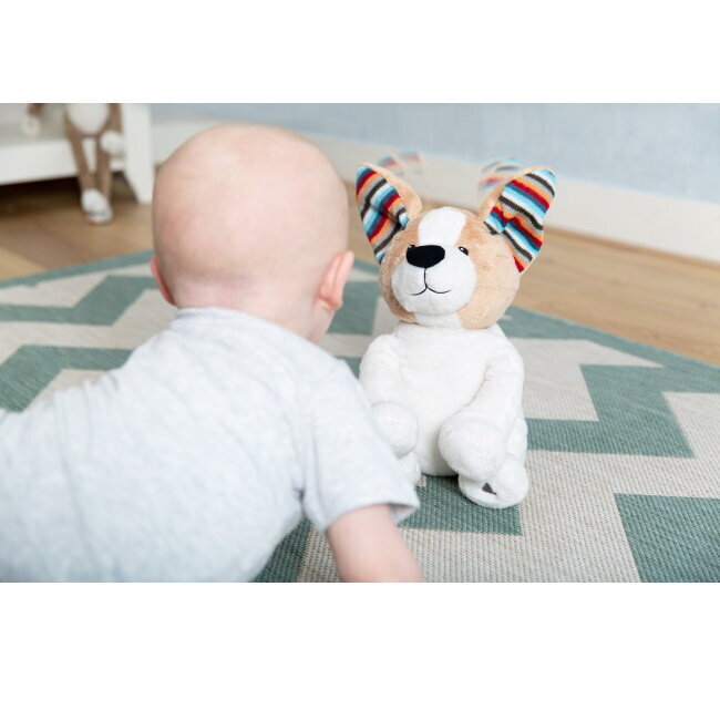 Zazu Danny Sunītis - Mīksta rotaļlieta, kas dzied dziesmas un spēlē spēli Peek-a-Boo bērniem no 0+ gadiem cena un informācija | Rotaļlietas zīdaiņiem | 220.lv