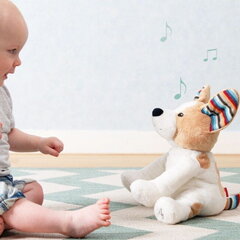 Zazu Danny Sunītis - Mīksta rotaļlieta, kas dzied dziesmas un spēlē spēli Peek-a-Boo bērniem no 0+ gadiem cena un informācija | Rotaļlietas zīdaiņiem | 220.lv