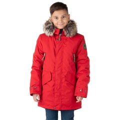 Lenne детская парка 250г Revor 22369 A*622, красный 4741593147111 цена и информация | Куртки для мальчиков | 220.lv