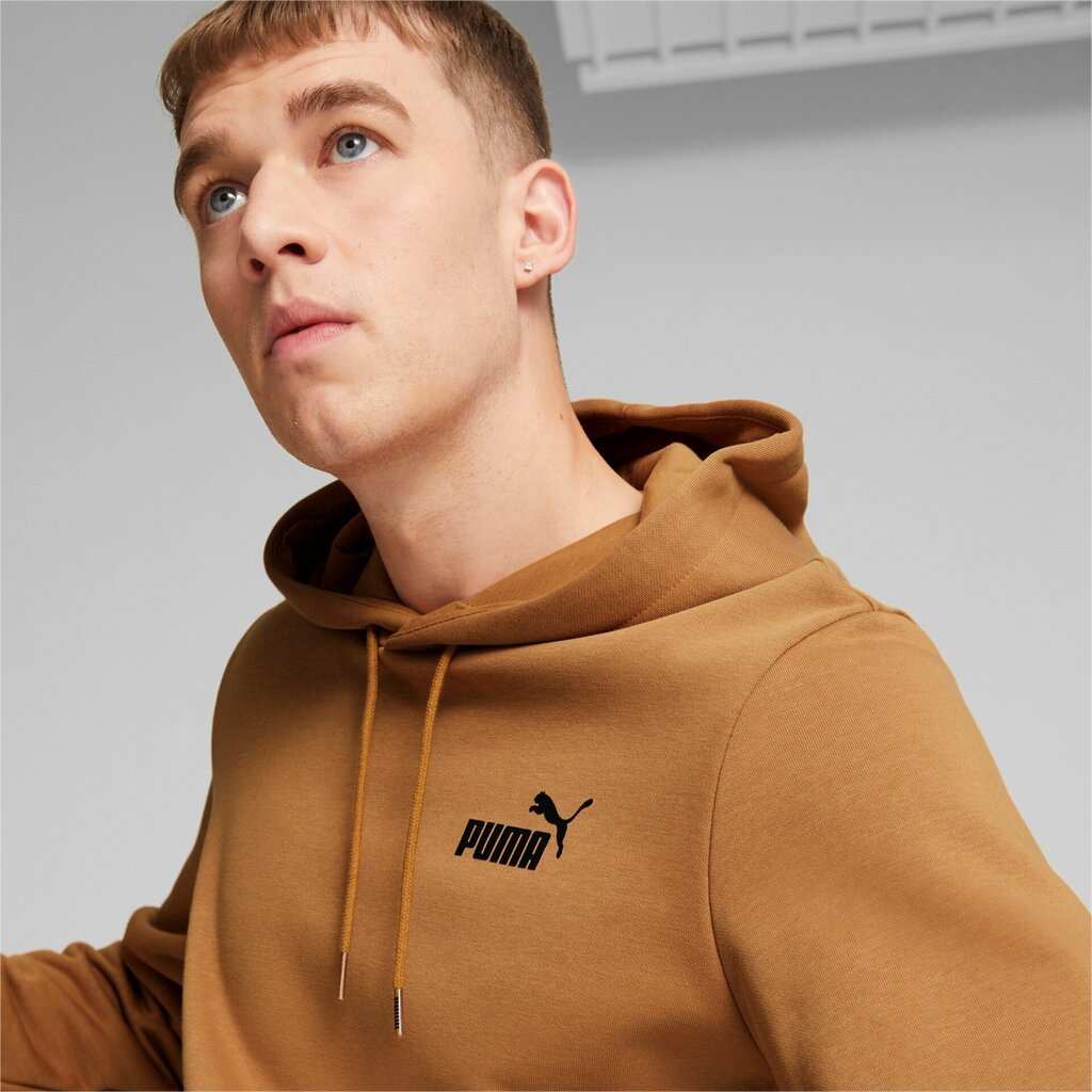 Džemperis Puma Ess Small Logo Hoodie Brown 586691 96 cena un informācija | Sporta apģērbs vīriešiem | 220.lv