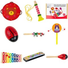 Koka mūzikas instrumentu komplekts bērniem, 8 d. cena un informācija | Attīstošās rotaļlietas | 220.lv