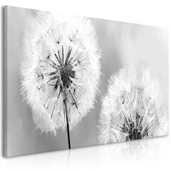 Картина - Fluffy Dandelions (1 Part) Grey Wide 100x45 см цена и информация | Картины | 220.lv