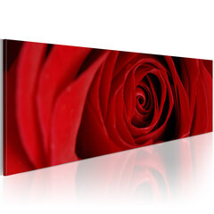 Glezna - Midnight rose 135x45 cm cena un informācija | Gleznas | 220.lv