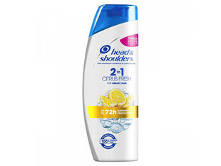 Pretblaugznu šampūns un kondicionieris 2in1 Citrus Fresh (pretblaugznu šampūns un kondicionieris) cena un informācija | Šampūni | 220.lv