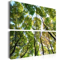 Glezna - Treetops 60x60 cm cena un informācija | Gleznas | 220.lv