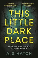 This Little Dark Place Main cena un informācija | Fantāzija, fantastikas grāmatas | 220.lv