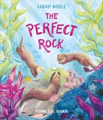 The Perfect Rock цена и информация | Книги для малышей | 220.lv