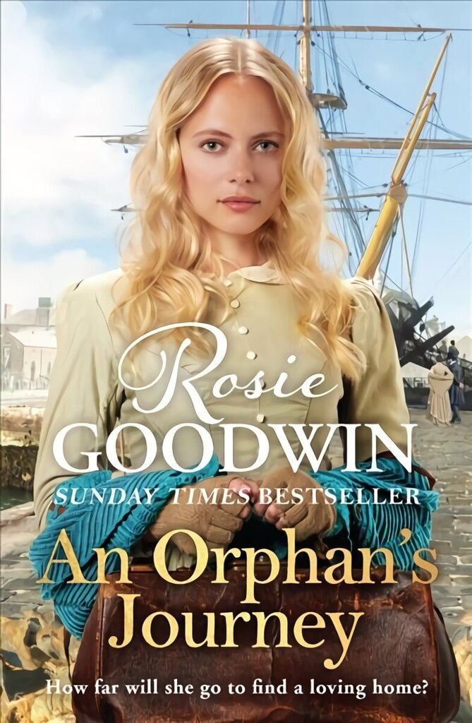An Orphan's Journey: The new heartwarming saga from the Sunday Times bestselling author цена и информация | Romāni | 220.lv