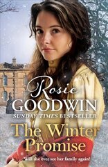 Winter Promise: A perfect cosy Victorian saga from the Sunday Times bestselling author цена и информация | Фантастика, фэнтези | 220.lv