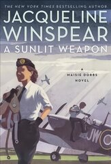 Sunlit Weapon цена и информация | Фантастика, фэнтези | 220.lv