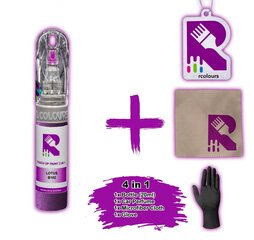 Корректор краски Lotus Elise Aubergine purple B102 цена и информация | Автомобильная краска | 220.lv