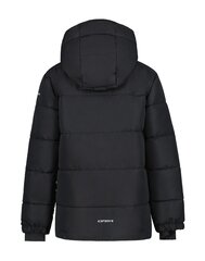 Детская куртка Icepeak Louin 300 г 50035-2*990 6438522711304, черная цена и информация | Куртки для мальчиков | 220.lv