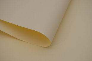 Sienas rullo žalūzijas ar audumu Dekor 180x170 cm, d-18 smilškrāsas цена и информация | Рулонные шторы | 220.lv