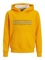 Детская толстовка Jack & Jones 12220968*02 5715324549559, черная цена и информация | Свитеры, жилетки, пиджаки для мальчиков | 220.lv