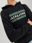 Jack & Jones bērnu sporta krekls cena un informācija | Zēnu jakas, džemperi, žaketes, vestes | 220.lv