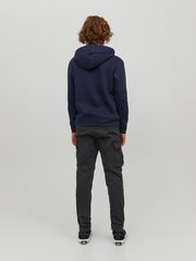 Детская толстовка Jack & Jones 12220968*03 5715324549733, тёмно-синяя цена и информация | Свитеры, жилетки, пиджаки для мальчиков | 220.lv