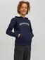 Jack & Jones bērnu sporta krekls cena un informācija | Zēnu jakas, džemperi, žaketes, vestes | 220.lv