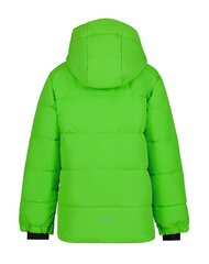 Детская куртка Icepeak Louin 300 г 50035-2*540 6438522711151, зелёная цена и информация | Куртки для мальчиков | 220.lv