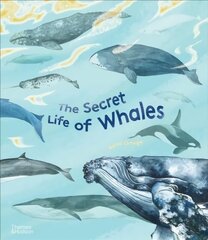 Secret Life of Whales cena un informācija | Grāmatas pusaudžiem un jauniešiem | 220.lv