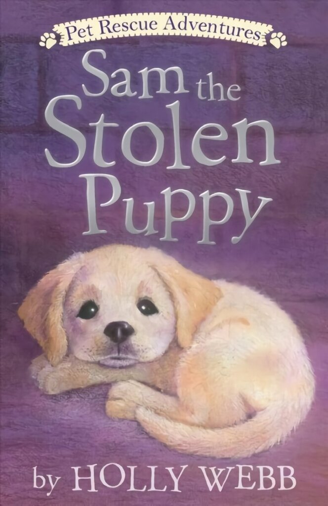 Sam the Stolen Puppy цена и информация | Grāmatas pusaudžiem un jauniešiem | 220.lv