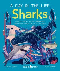 Sharks (A Day in the Life): What Do Great Whites, Hammerheads, and Whale Sharks Get Up To All Day? cena un informācija | Grāmatas pusaudžiem un jauniešiem | 220.lv