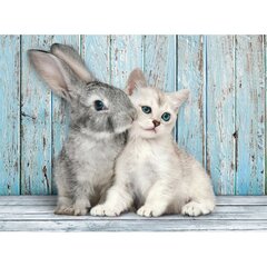 Пазл Clementoni High Quality Cat & Bunny 500 д. цена и информация | Пазлы | 220.lv