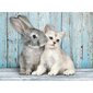 Puzle Clementoni High Quality Cat & Bunny 500 d. cena un informācija | Puzles, 3D puzles | 220.lv