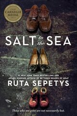 Salt to the Sea cena un informācija | Grāmatas pusaudžiem un jauniešiem | 220.lv