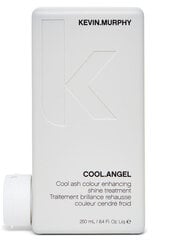 Кондиционер пепельного оттенка для обесцвеченных волос Kevin Murphy Cool Angel, 250 мл цена и информация | Бальзамы, кондиционеры | 220.lv