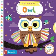 My Magical Owl цена и информация | Книги для малышей | 220.lv