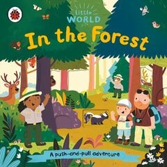 Little World: In the Forest: A push-and-pull adventure цена и информация | Книги для малышей | 220.lv