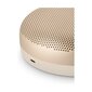 Bang & Olufsen Beosound A1 2nd Gen, brūns цена и информация | Skaļruņi | 220.lv