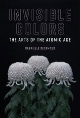Invisible Colors: The Arts of the Atomic Age cena un informācija | Mākslas grāmatas | 220.lv