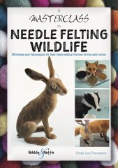 Masterclass in Needle Felting Wildlife: Methods and techniques to take your needle felting to the next level cena un informācija | Grāmatas par modi | 220.lv