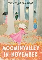 Moominvalley in November Main cena un informācija | Grāmatas pusaudžiem un jauniešiem | 220.lv