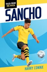 Sancho цена и информация | Книги для подростков  | 220.lv