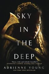 Sky in the Deep cena un informācija | Grāmatas pusaudžiem un jauniešiem | 220.lv