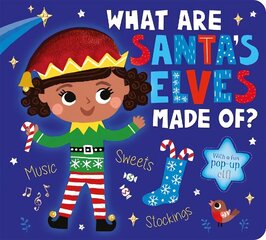 What Are Santa's Elves Made Of? цена и информация | Книги для малышей | 220.lv