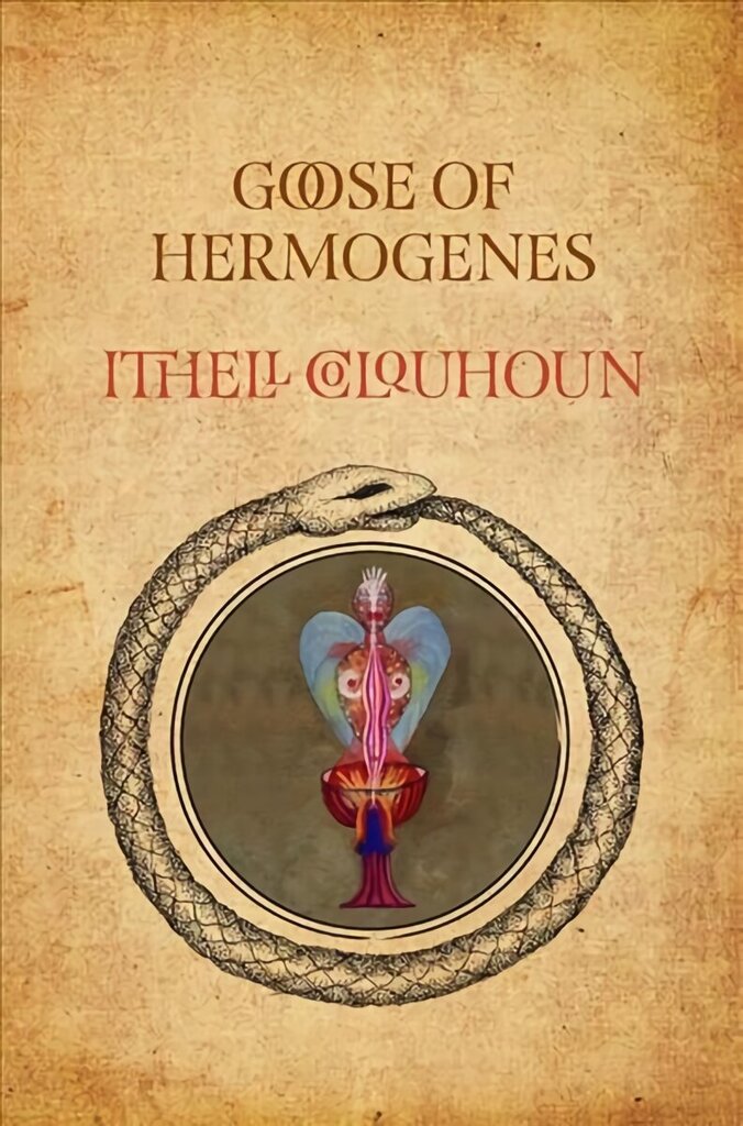 Goose of Hermogenes Illustrated edition cena un informācija | Fantāzija, fantastikas grāmatas | 220.lv