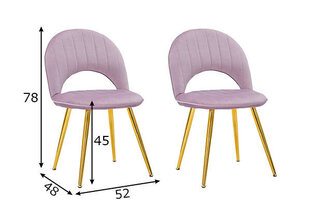 2-vu ēdamistabas krēslu komplekts Glam, rozā cena un informācija | Virtuves un ēdamistabas krēsli | 220.lv